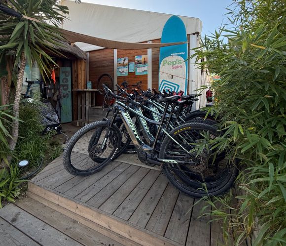 Découvrez nos gammes de vélos à assistance électrique pour vos balades Découvrez nos gammes de vélos à assistance électrique pour vos balades