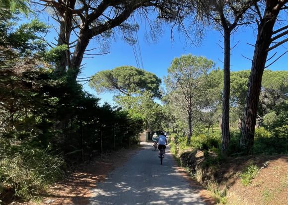 Randonnée VTT, découverte du marché provençal de Saint Tropez Randonnée VTT, découverte du marché provençal de Saint Tropez